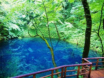 『青池』のことですか?