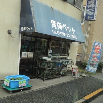 青梅ペット