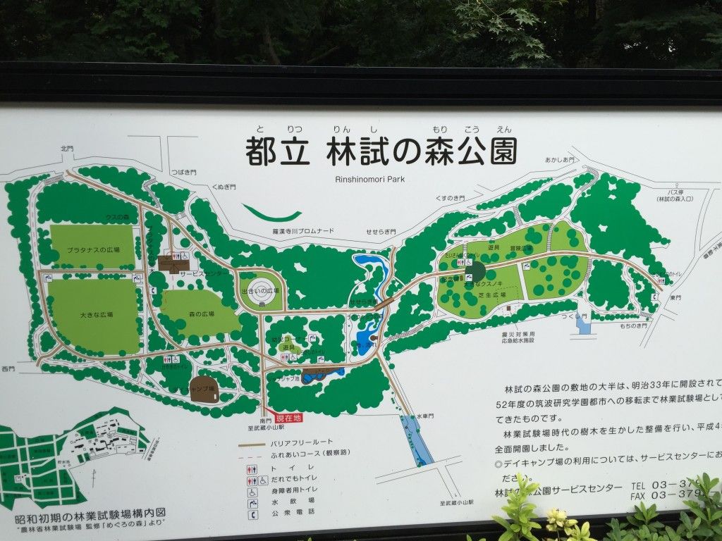 都立林試の森公園