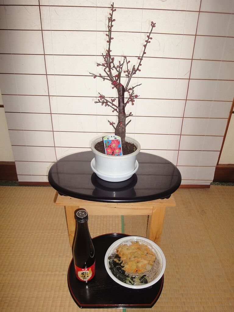 玄関に置く紅梅