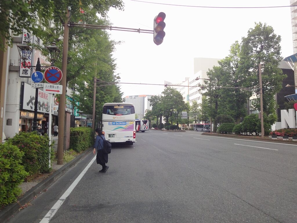 実は、この写真が、よくわからないんです