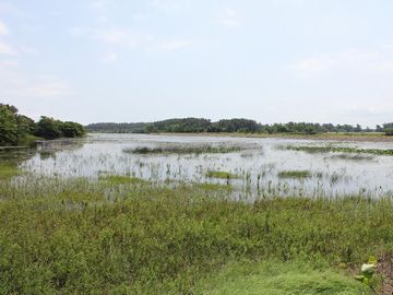 つがる市『出来島大堤』