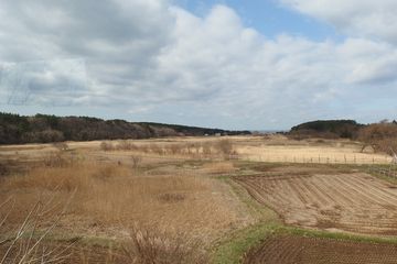 これは、下北に近い場所かも知れません。人工物がほとんど見えない景色が続くようです。