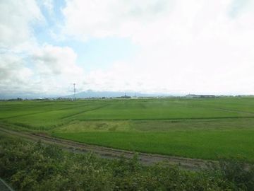 津軽鉄道の車窓から。ずっとこんな景色が続くんだと思います。