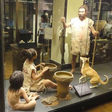 これが、火焔型土器だった地域もあった