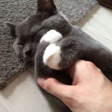 手で押さえるな!