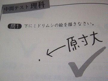 珍回答シリーズ、無限にあります