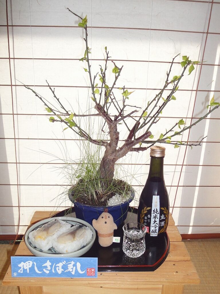 押しさば寿し