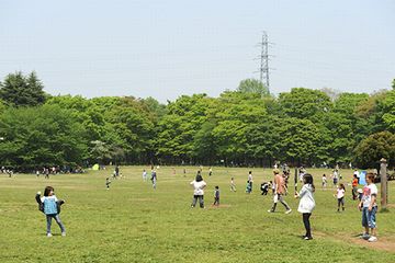 小金井公園の面積は、80万㎡