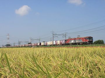 10月ってのは、東北で一番いい時期じゃないの