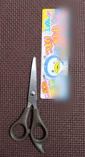 ぼかし丸_20231106_173629