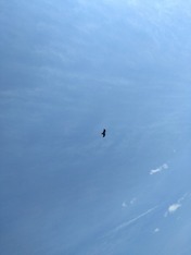 DSC_0000_BURST20230422140459319~2