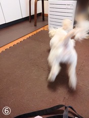 ぼかし丸_20240118_163935~2