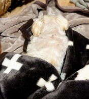 sketch-1638515807580~2