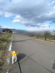 ぼかし丸_20231226_165517