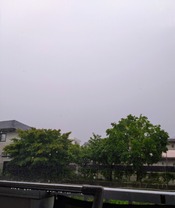 1000156211