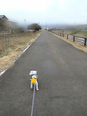 ぼかし丸_20240227_172212