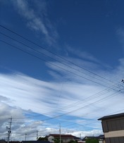 DSC_0004_BURST20230928140928998~2