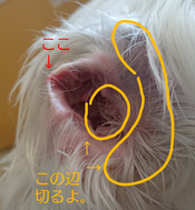 sketch-1666259764427