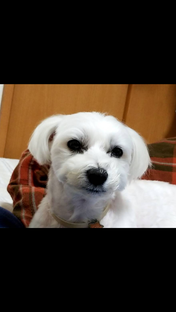 Screenshot_20201126-133304