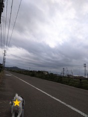 DSC_0009_BURST20230930133323122~2