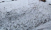 1000107603