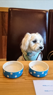 Screenshot_20210404-162613