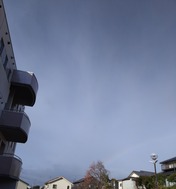 1000175463