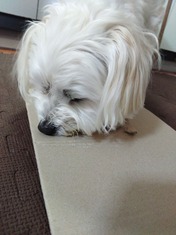DSC_0000_BURST20240607101953716