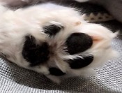 1701352641082