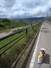 ぼかし丸_20230508_180108