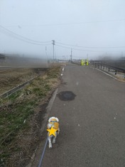 ぼかし丸_20240302_192509
