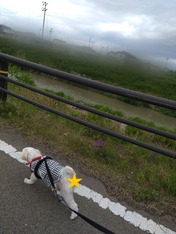 ぼかし丸_20230514_181313~2