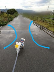 ぼかし丸_20230801_131734