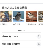 Screenshot_20260110-140819