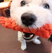 DSC_0000_BURST20240304135308709~2