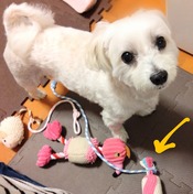 ぼかし丸_20230911_170704~2