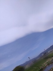 ぼかし丸_20240420_164346