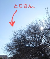 1000112466