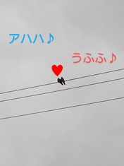 1000113542