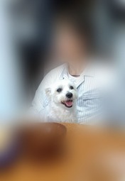 ぼかし丸_20251026_115422