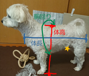 sketch-1673860386644