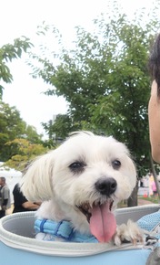 DSC_0000_BURST20260906111251387~2
