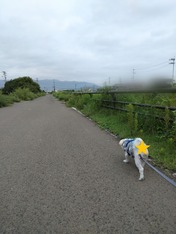 ぼかし丸_20230914_173535