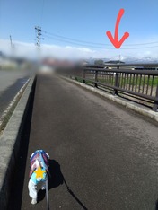 ぼかし丸_20230409_165517