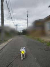 1000278422