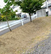 1000155278