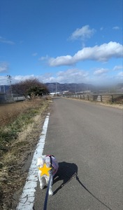 ぼかし丸_20240130_171518