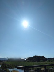 ぼかし丸_20231101_162742