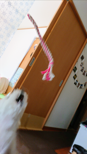 Screenshot_20210324-194719